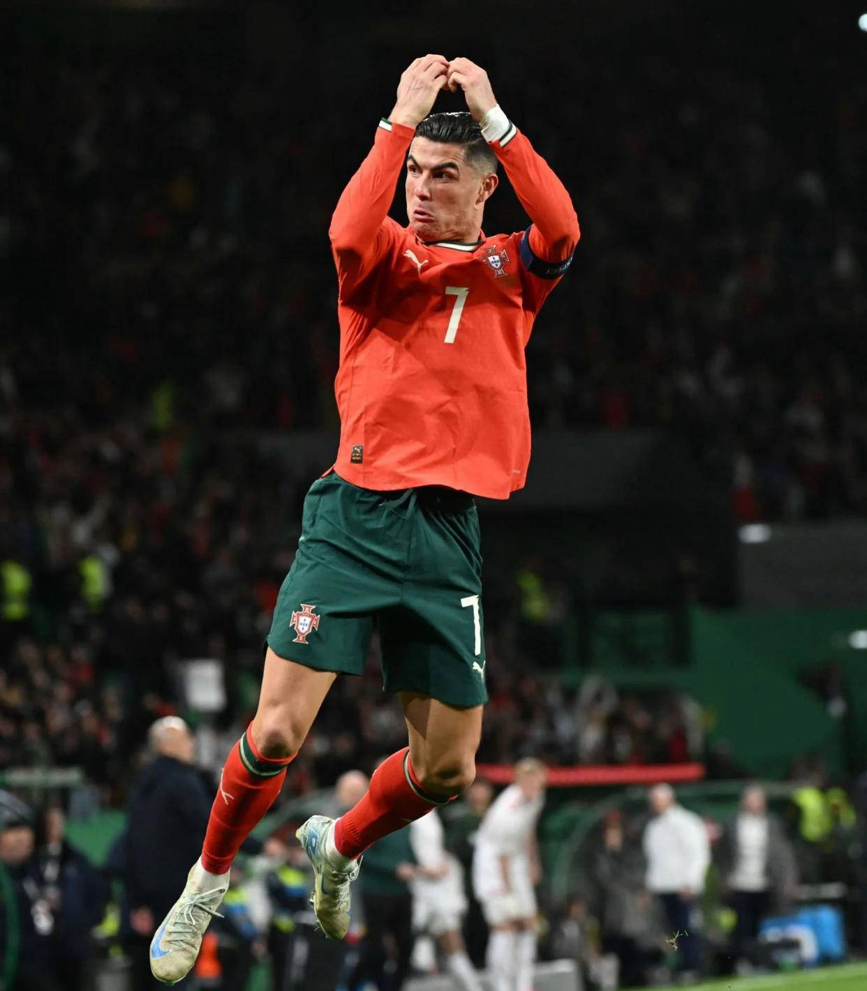 是情感寄托 是情感寄托